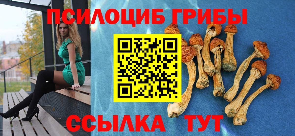 где купить наркоту  Галлюциногенные грибы мицелий  Вход с VPN  Галлюциногенные грибы Magic Shrooms  Электрогорск 