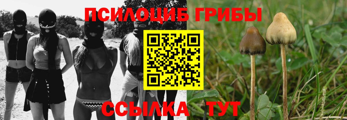 Галлюциногенные грибы ЛСД Электрогорск
